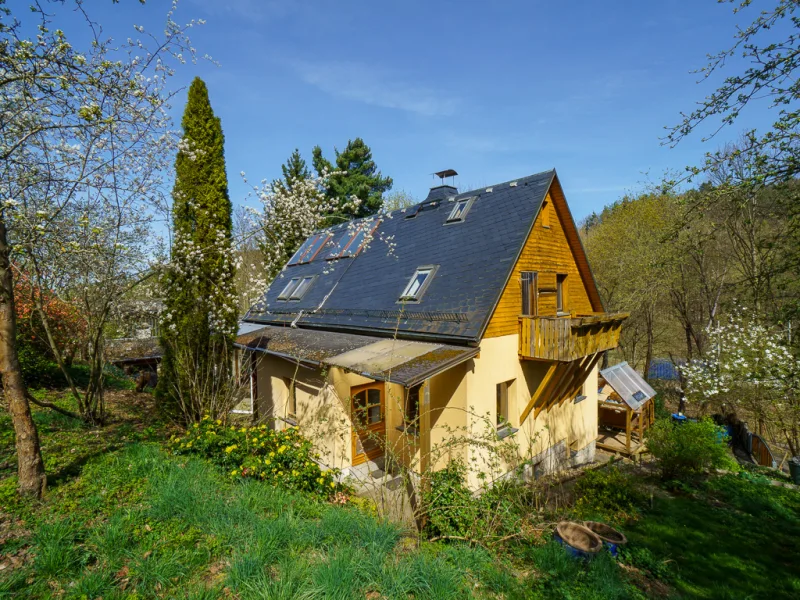 Aussenansicht - Haus kaufen in Netzschkau - Naturnahes Wohnen: Einfamilienhaus mit großem Grundstück in Netzschkau !