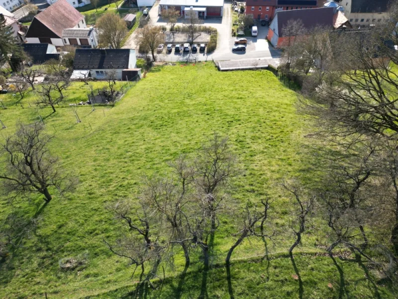 Baugrundstück Wilhelmsdorf image006