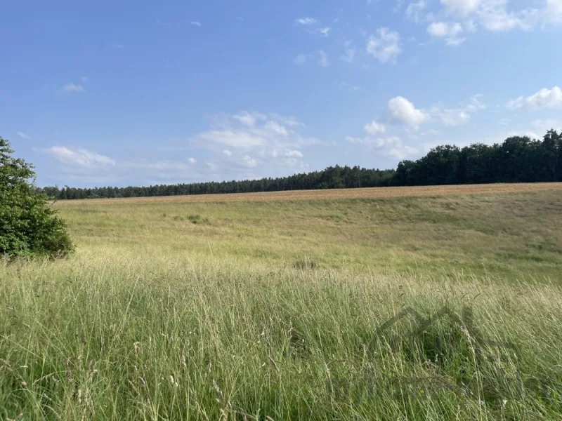 Baugrundstück Laipersdorf  image004 - Grundstück kaufen in Schnaittach / Laipersdorf - Hier finden Sie noch bezahlbaren Baugrund in Schnaittach Laipersdorf