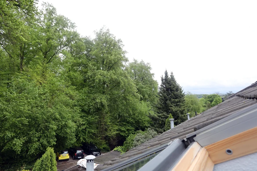 FERNBLICK AUS DEM DACHFENSTER