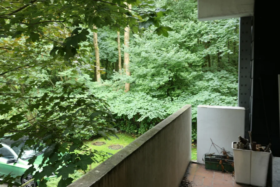 BALKON MIT BLICK INS GRÜNE