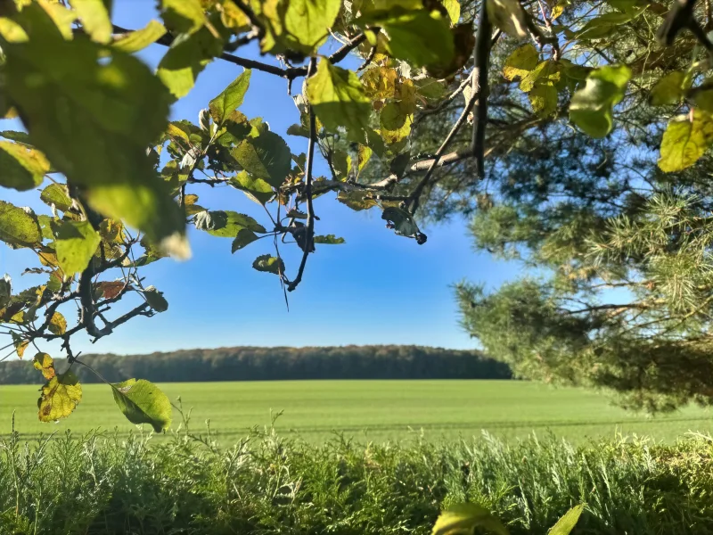 Gartenblick