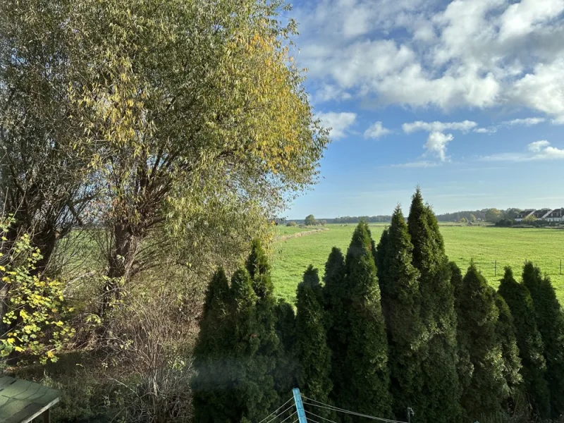 Wohnen im Grünen - Haus kaufen in Kloster Lehnin - Den Frühling im eigenen Garten und den eigenen 4-Wänden genießen