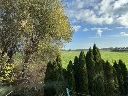 Wohnen im Grünen - Haus kaufen in Kloster Lehnin - Den Frühling im eigenen Garten und den eigenen 4-Wänden genießen