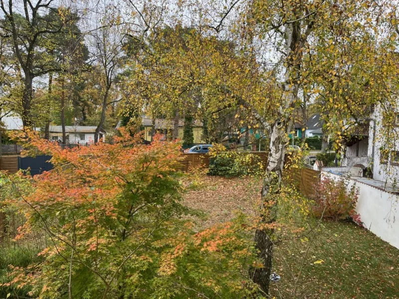 Blick in den vorderen Garten