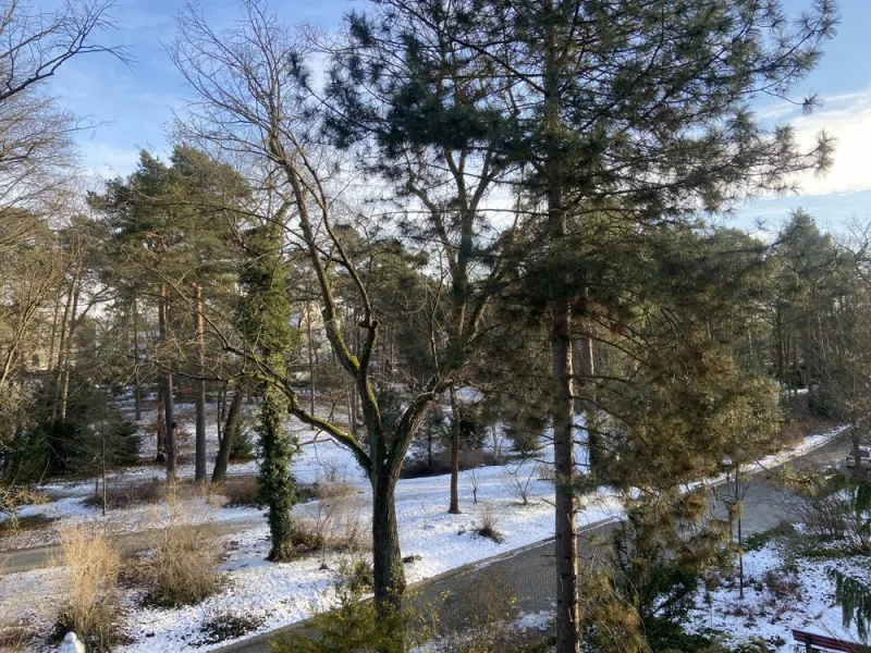 Ausblick vom kleinen Balkon