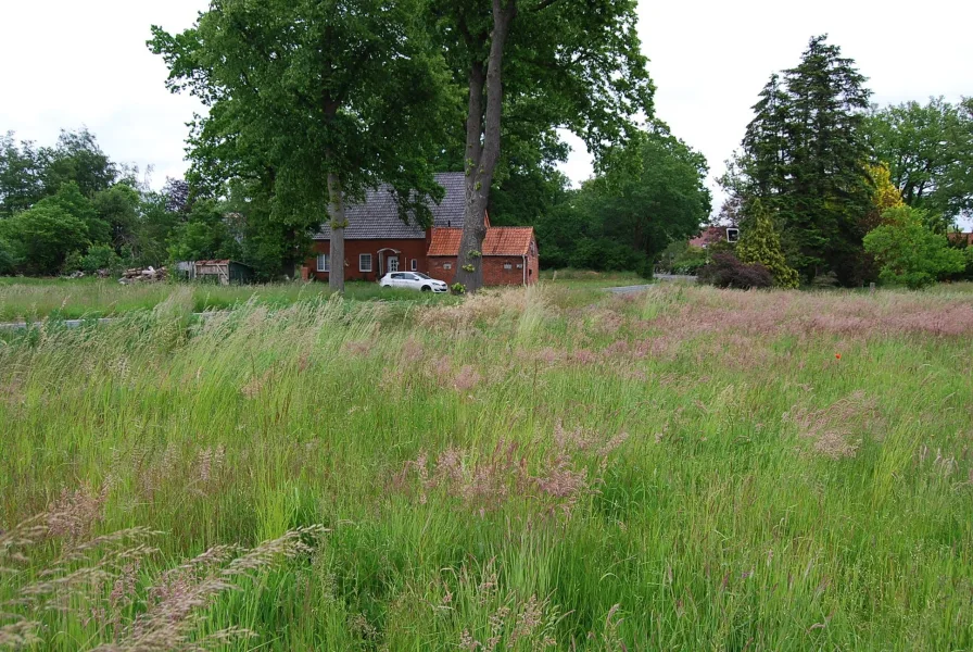 vom Grundstück ein Blick zur Straße nach rechts