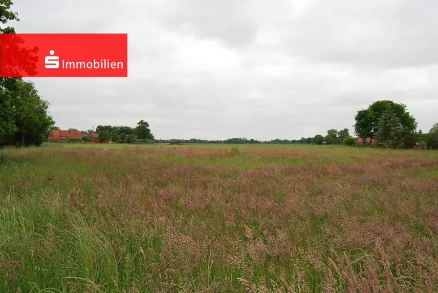 Ein Blick von der Straße über das Grundstück - Grundstück kaufen in Martfeld - +++ Baugrundstück für Einzel-/Doppelhaus in attraktiver ländlicher Lage+++ 