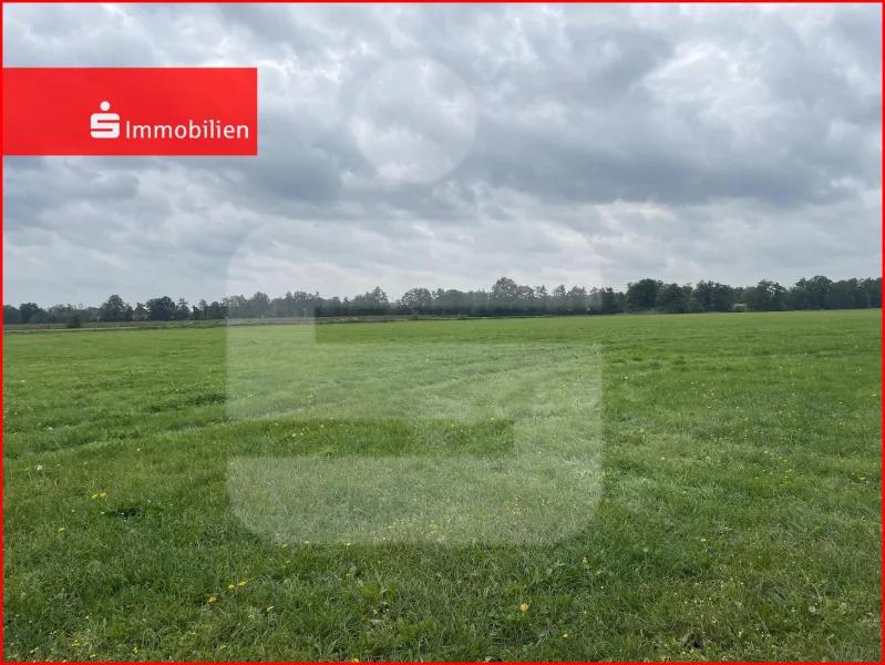  - Grundstück kaufen in Diepenau - Landwirtschaftliche Fläche in Diepenau