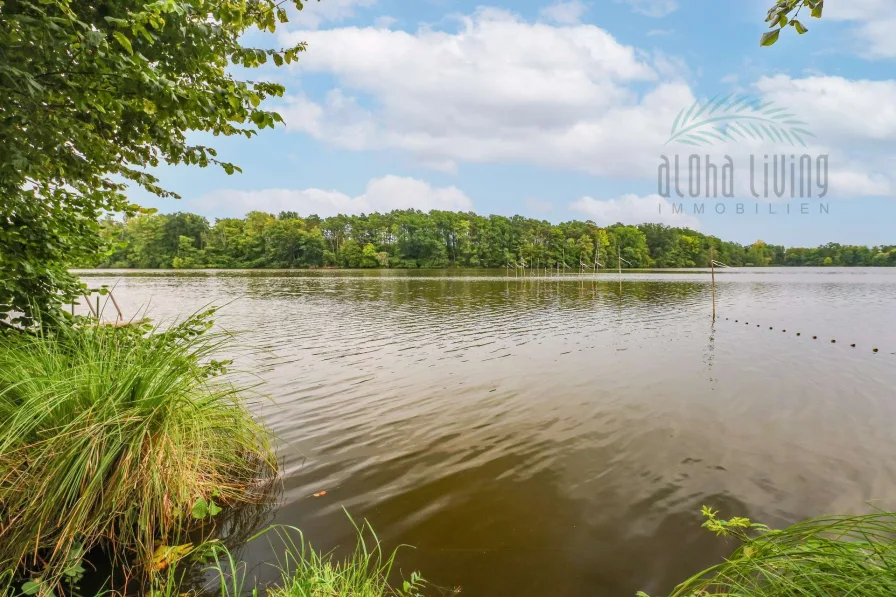 Blick auf den See