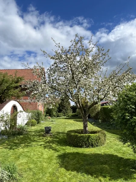 Obst- und Ziergarten