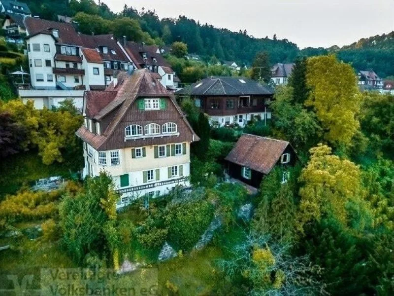 Außenansicht - Wohnung kaufen in Calw - Exponierte Aussichtslage von Calw/Moderne Denkmalsanierung mit steuerlichen Vorteilen