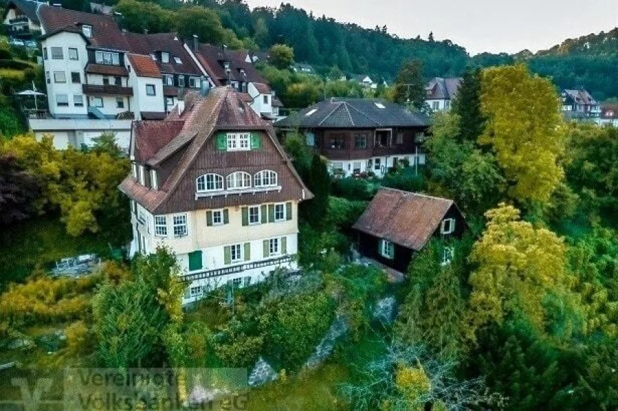 Außenansicht - Wohnung kaufen in Calw - Exponierte Aussichtslage von Calw/Moderne Denkmalsanierung mit steuerlichen Vorteilen