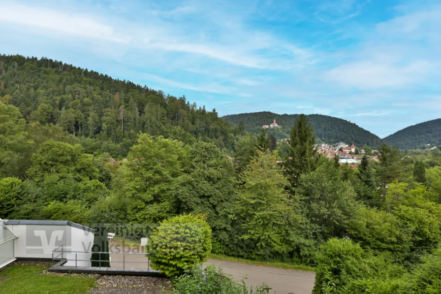 Aussicht vom Balkon