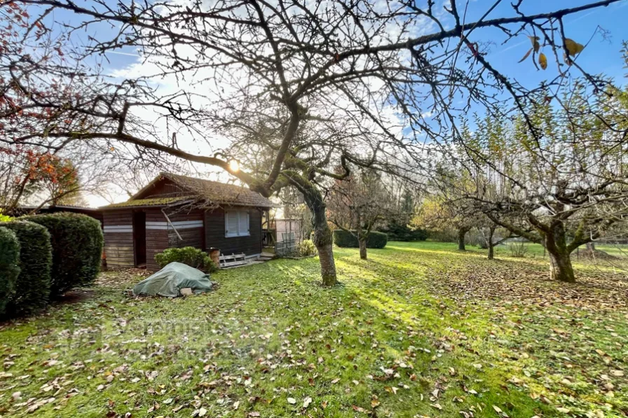 Aussen - Grundstück kaufen in Magstadt - Sonniges Gartengrundstück mit gemütlichem Gartenhaus für Naturliebhaber.