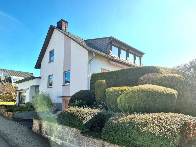 Eingewachsener Hang vorm Haus - der restliche Garten ist eben