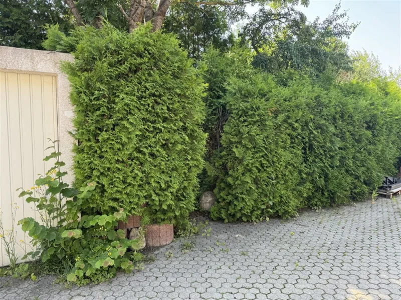 Eingang zum Gemeinschaftsgarten