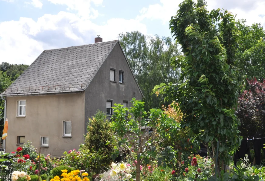 Ansicht vom Haus - Haus kaufen in Geithain - Einfamilienhaus in ruhiger Lage mit Seeblick