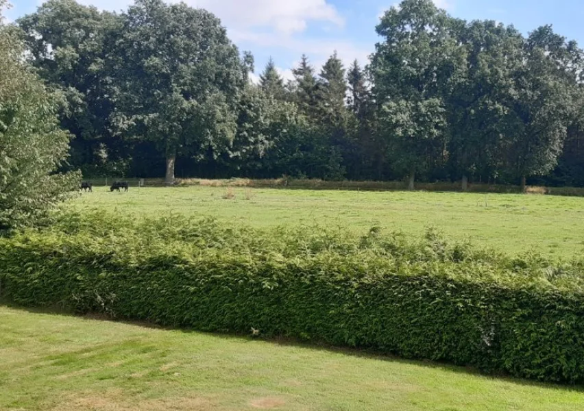 AUSBLICK VOM BALKON