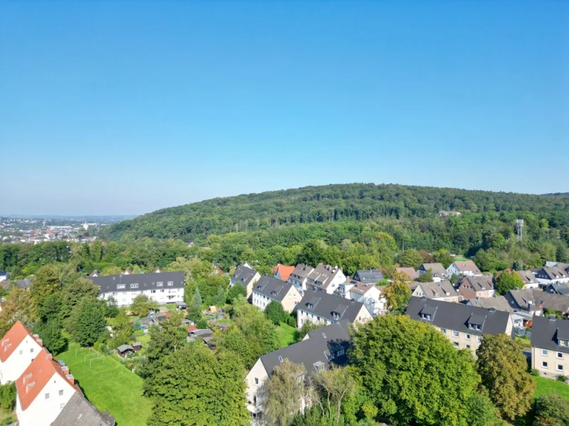 Nahe der Stadt und dem Wald