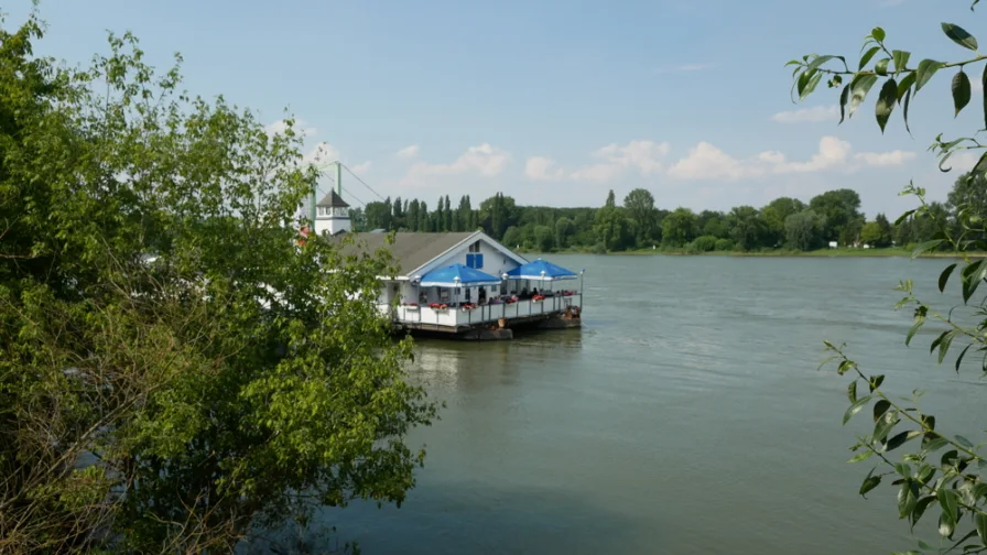 Leben und Wohnen am Rhein - Wohnung kaufen in Köln / Rodenkirchen - Moderne 3-Zimmer-Wohnung am Rhein – Neu Renoviert