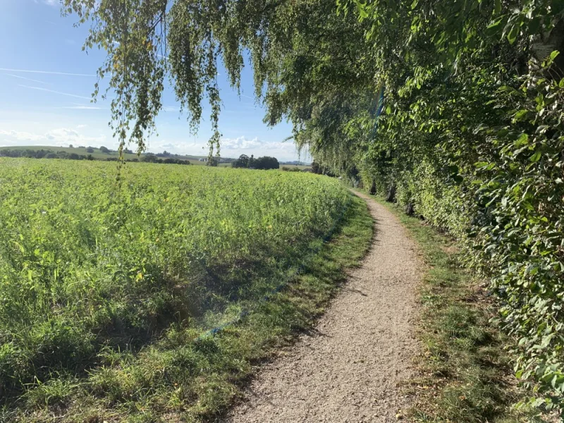 schöne Spazier- und Radwege