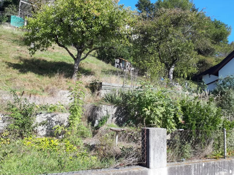 Talstraße 36 - Grundstück kaufen in Mühldorf - ++ Baugrundstück für EFH mit unverbaubaren Blick