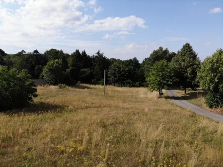 Vogelperspektive Waldseite - Grundstück kaufen in Wardow - Grundstück mit zukünftiger Bauoption in Goritz bei Rostock/Laage