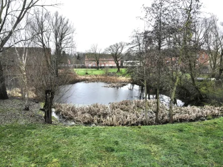 Ansicht Teich - Grundstück kaufen in Cölpin - **Grundstück in idyllischer Lage – Vielseitig bebaubar und ideal für Bauherren oder Investoren**