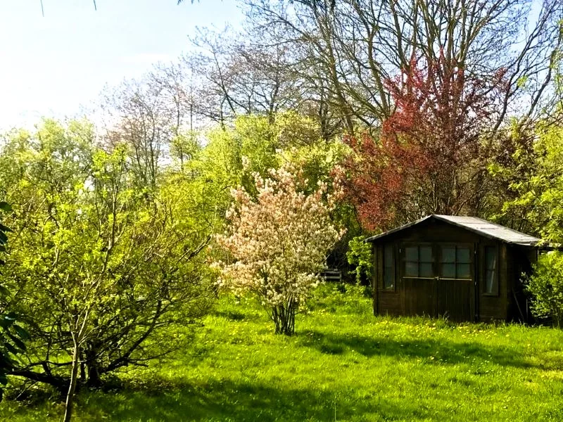 Frühling im Garten