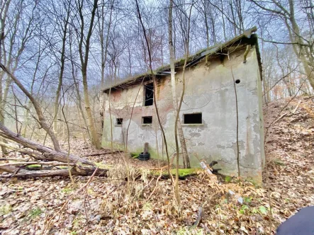 Nebengelass 2 - Halle/Lager/Produktion kaufen in Garz - Die charmante Unvollkommenheit für Ihre Zukunft mit unendlich viel Potenzial auf der Insel Usedom