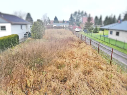 Ansicht von der Straßenfront  - Grundstück kaufen in Ueckermünde - **Exklusives Baugrundstück in idyllischer Ortsendlage – Perfekt für ein stilvolles Einfamilienhaus oder Tiny House**