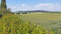 Ausblick vom Kinderzimmer