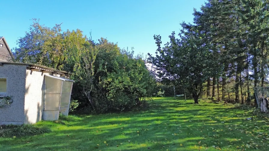 Baumbestand - Garten