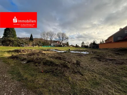 Ansicht - Grundstück kaufen in Wehnde - Riesiges Baugrundstück in ruhiger Lage!