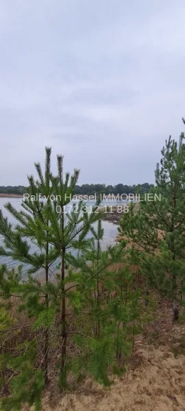 der angrenzende Baggersee - Land- und Forstwirtschaft kaufen in Spreenhagen / Hartmannsdorf - VERKAUF IM BIETERVERFAHREN: Waldgrundstück in Hartmanndorf bei Spreenhagen