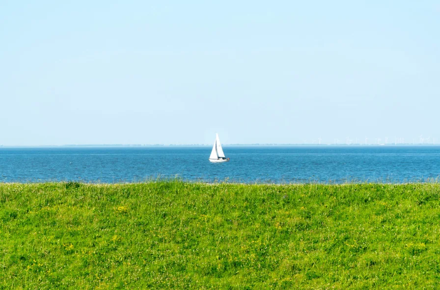 Blick vom Balkon