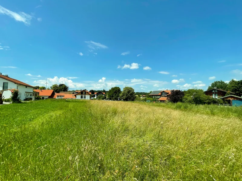 Blick nach Neufahrn - Grundstück kaufen in Schäftlarn - Großzügiges Baugrundstück, auch für Bauträger