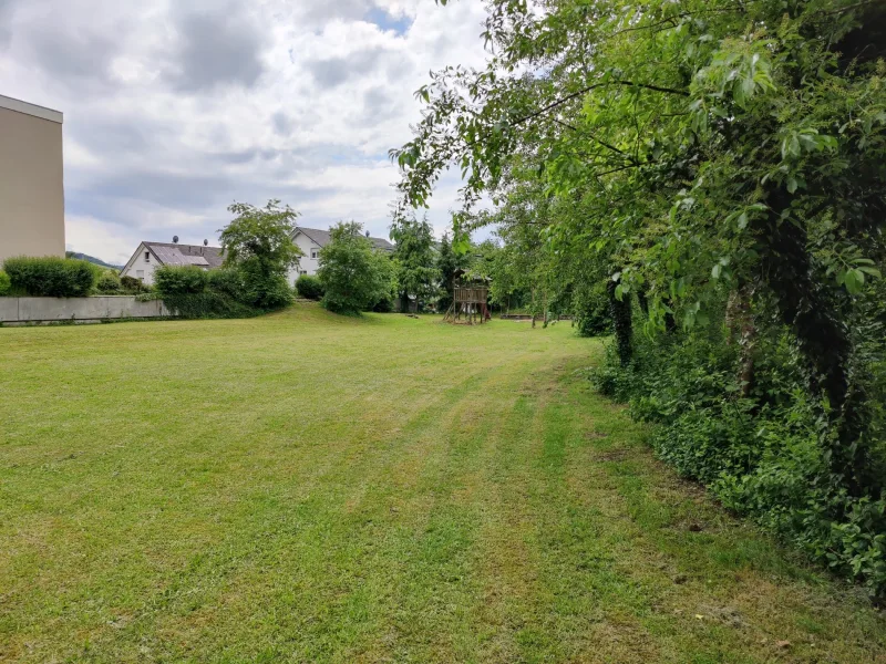 Blick auf die Wiese mit Spielplatz