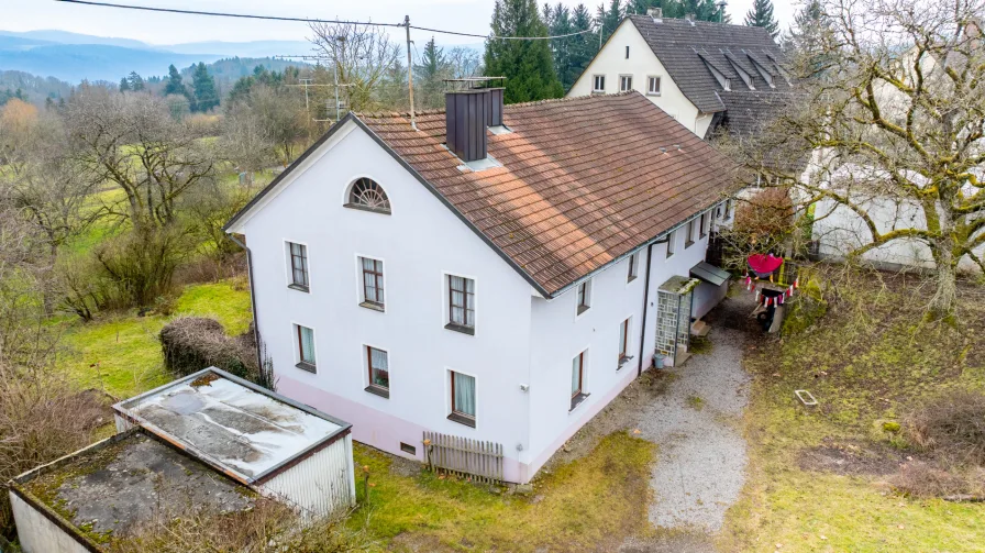 Ansicht - Haus kaufen in Albbruck - Ländliche Ruhe + XXL-Grundstück – vielseitig nutzbares Haus - perfekt für Naturliebhaber!