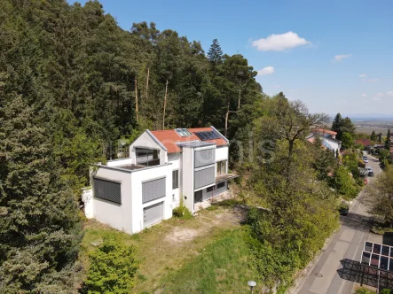 Außenansicht - Haus kaufen in Weisenheim am Berg - Exklusives Einfamilienhaus mit Panoramablick in Weisenheim am Berg