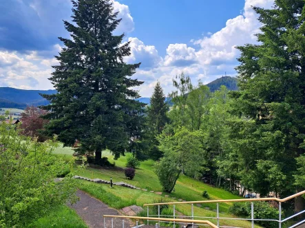 Abgang zum Park und unteren Parkplatz - Wohnung kaufen in Baiersbronn - Einmaliges Appartement mit toller Schwarzwald-Aussicht in Baiersbronn mit Schwimmbad