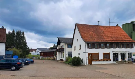 Ansicht - Haus kaufen in Horb am Neckar - Vielseitiges, großes Anwesen mit Historie und großem, auch separat nutzbarem Grundstück + Halle