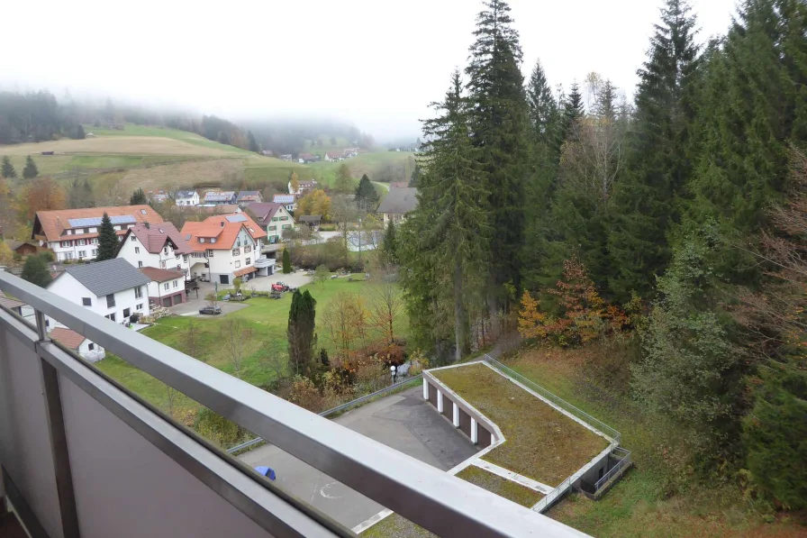 Ausblick vom Balkon