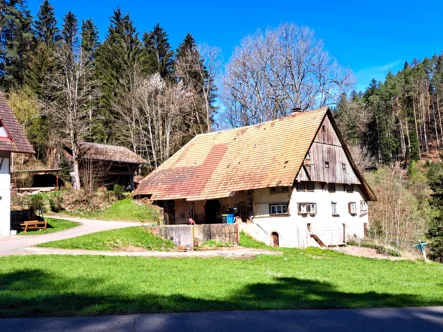 Ansicht (2a) - Haus kaufen in Lauterbach - Einzigartiger, denkmalgeschützter historischer Bauernhof in Lauterbach im Schwarzwald