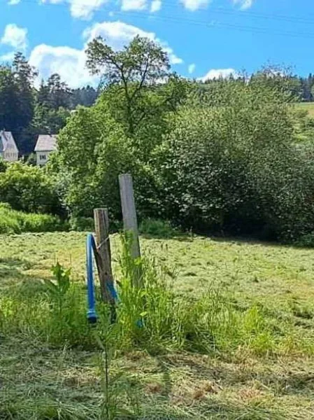 Grundstück - Grundstück kaufen in Waldachtal - Gut geschnittenes und naturnahes Baugrundstück im Waldachtal - provisionsfrei! -