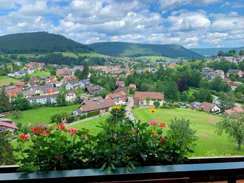 Ausblick Balkon