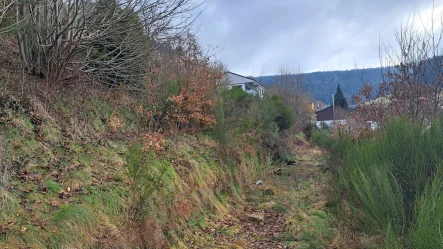 Grundstück  - Grundstück kaufen in Baiersbronn - Sonniges Hanggrundstück zentral in Baiersbronn