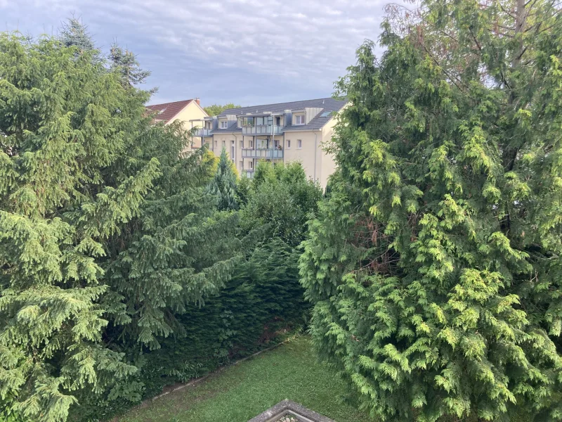 Aussicht - Wohnung mieten in Gaggenau - Moderne 3-Zimmer Wohnung mit Küche, Stellplatz und Balkon