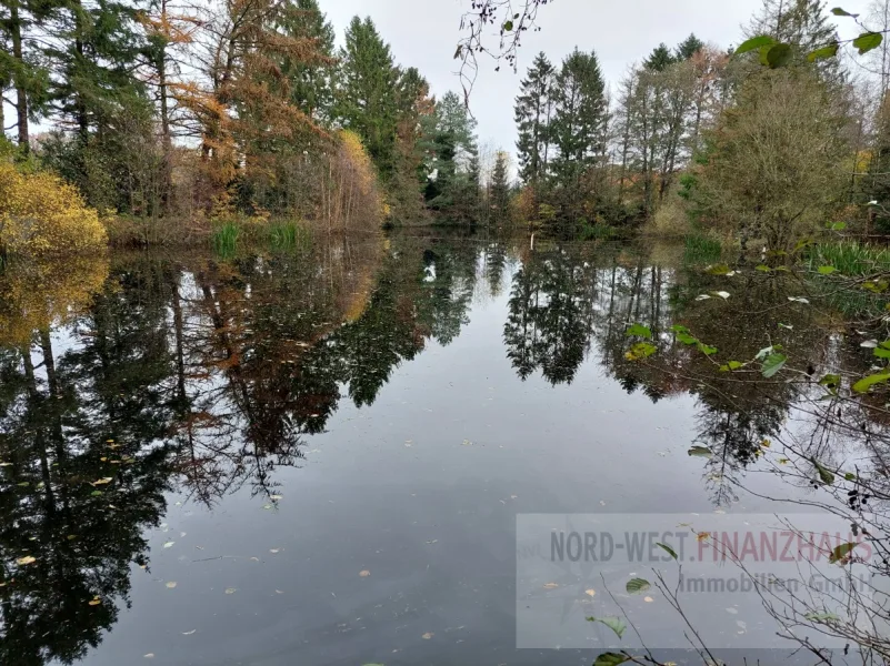 Blick übers Wasser